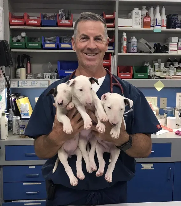 Welcome to Warwick Animal Hospital