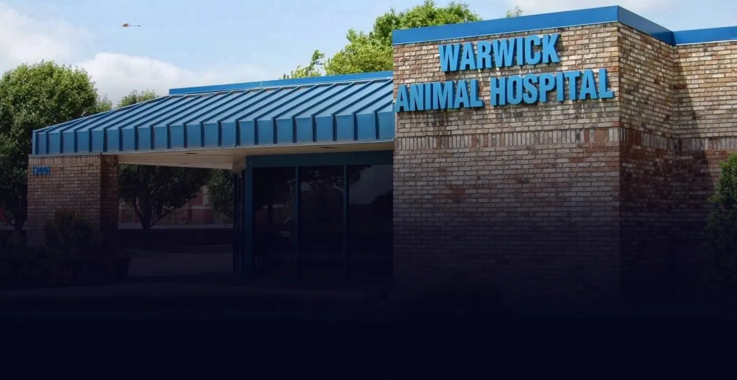 Image Banner
