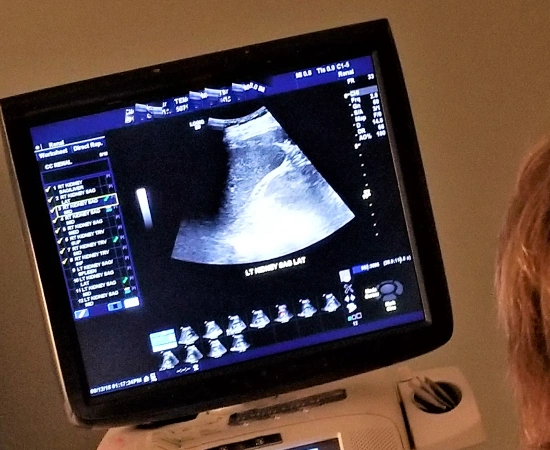 Ultrasound Diagnostics for Cats in Oklahoma City