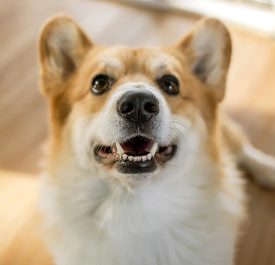 Home Care That Actually Works