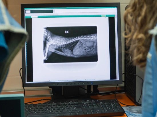Advanced Diagnostics for Clear Answers
