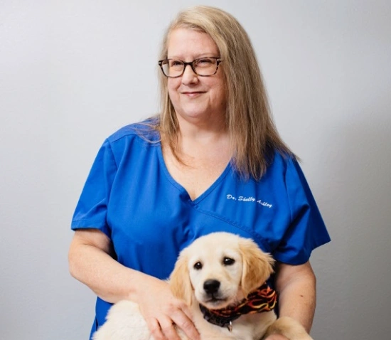 Dr. Shelly Ashley