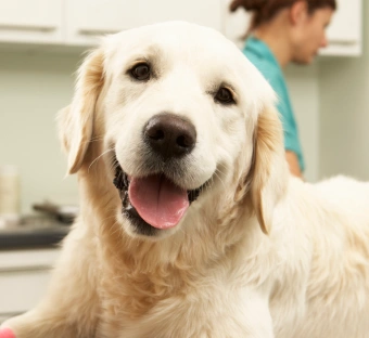 Diagnostic Care