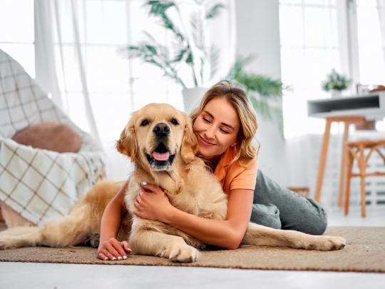 preventative-care-is-essential-for-your-pets-long-term-health