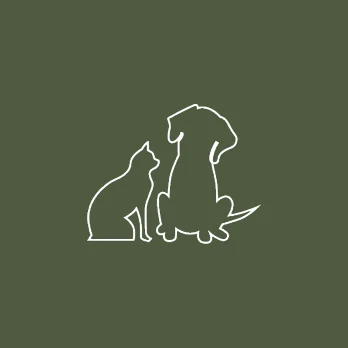 Team Member Placeholder